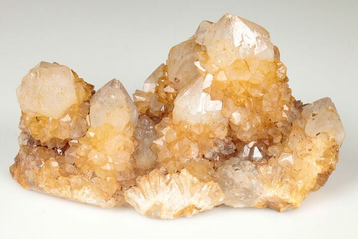 Sunshine Cactus Quartz Crystal Cluster - South Africa #191800